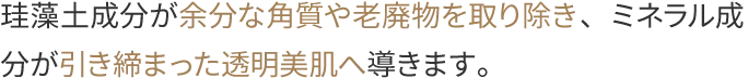 珪藻土成分が余分な角質や老廃物を取り除き、ミネラル成分が引き締まった透明美肌へ導きます。