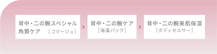 背中・二の腕スペシャル角質ケア（ゴマージュ）→背中・二の腕ケア（海藻パック）→
                    背中・二の腕美肌保湿（ボディセルサー）