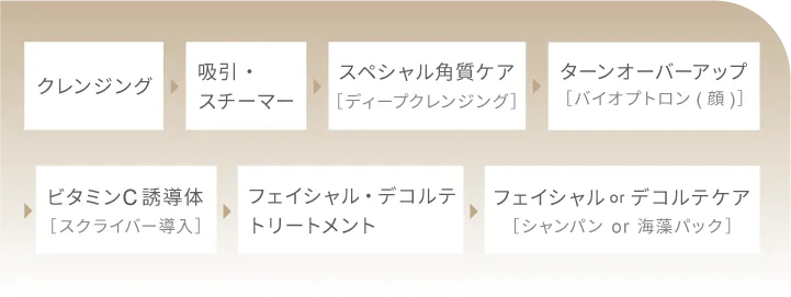 クレンジング→吸引・スチーマー→スペシャル角質ケア（ディープクレンジング）→
                    ターンオーバーアップ（バイオプトロン顔）→ビタミンC誘導体（スクライバー導入）
                    →フェイシャル・デコルテトリートメント→フェイシャル or デコルテケア（シャンパン or 海藻パック）