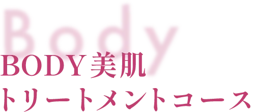 Body Body美肌トリートメントコース