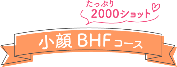 たっぷり2000ショット 小顔BHFコース