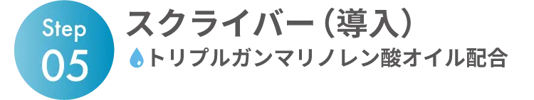 Step05 スクライバー（導入） トリプルガンマリノレン酸オイル配合