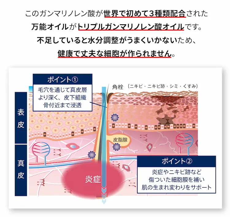 このガンマリノレン酸が世界で初めて３種類配合された万能オイルがトリプルガンマリノレン酸オイルです。
        不足していると水分調整がうまくいかないため、健康で丈夫な細胞が作られません。