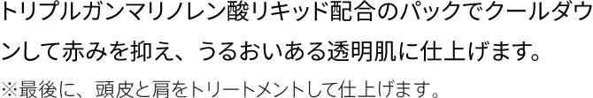 トリプルガンマリノレン酸リキッド配合のパックでクールダウンして赤みを抑え、
                    うるおいある透明肌に仕上げます。
                    ※最後に、頭皮と肩をトリートメントして仕上げます。